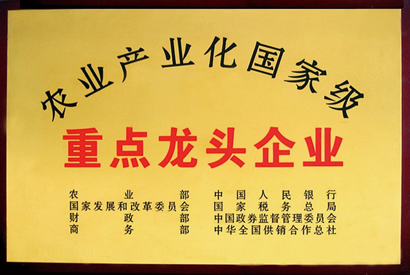 农业工业化国家级龙头企业