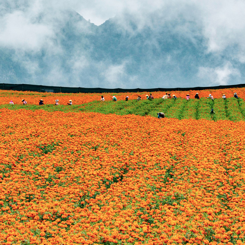 y80000永利棋牌(中国)有限公司官网