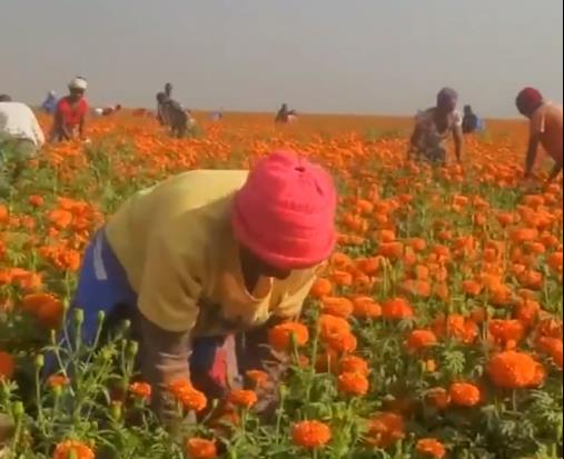 y80000永利棋牌生物顺应”一带一起“建议，，，，，共创未来优美生涯！