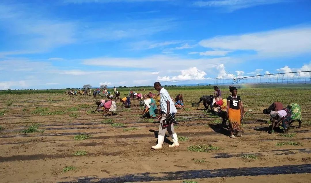 y80000永利棋牌(中国)有限公司官网