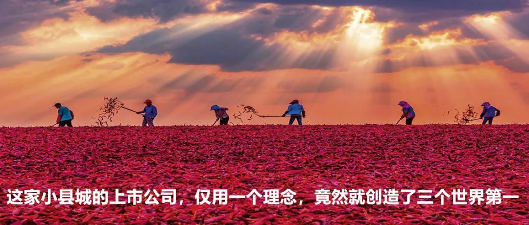 y80000永利棋牌(中国)有限公司官网