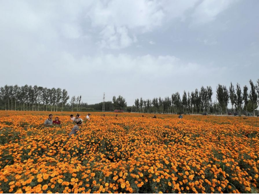 y80000永利棋牌(中国)有限公司官网