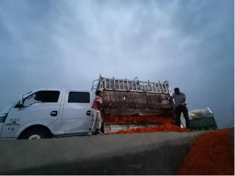 y80000永利棋牌(中国)有限公司官网