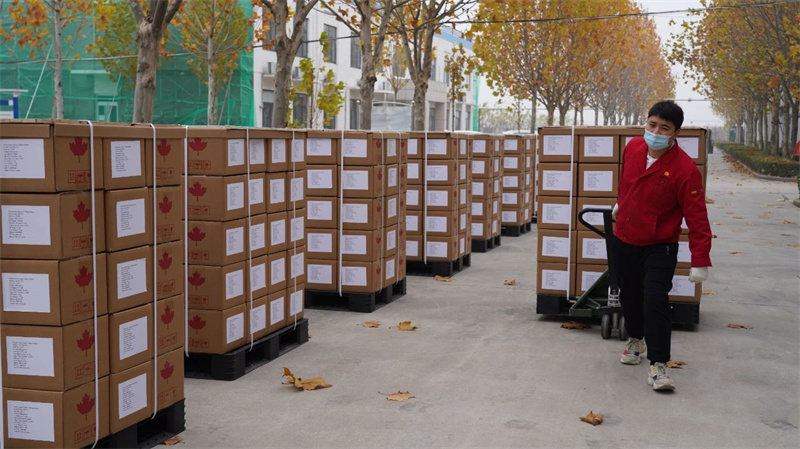 y80000永利棋牌(中国)有限公司官网