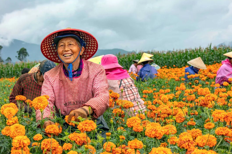 y80000永利棋牌(中国)有限公司官网