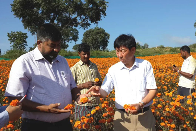 y80000永利棋牌(中国)有限公司官网