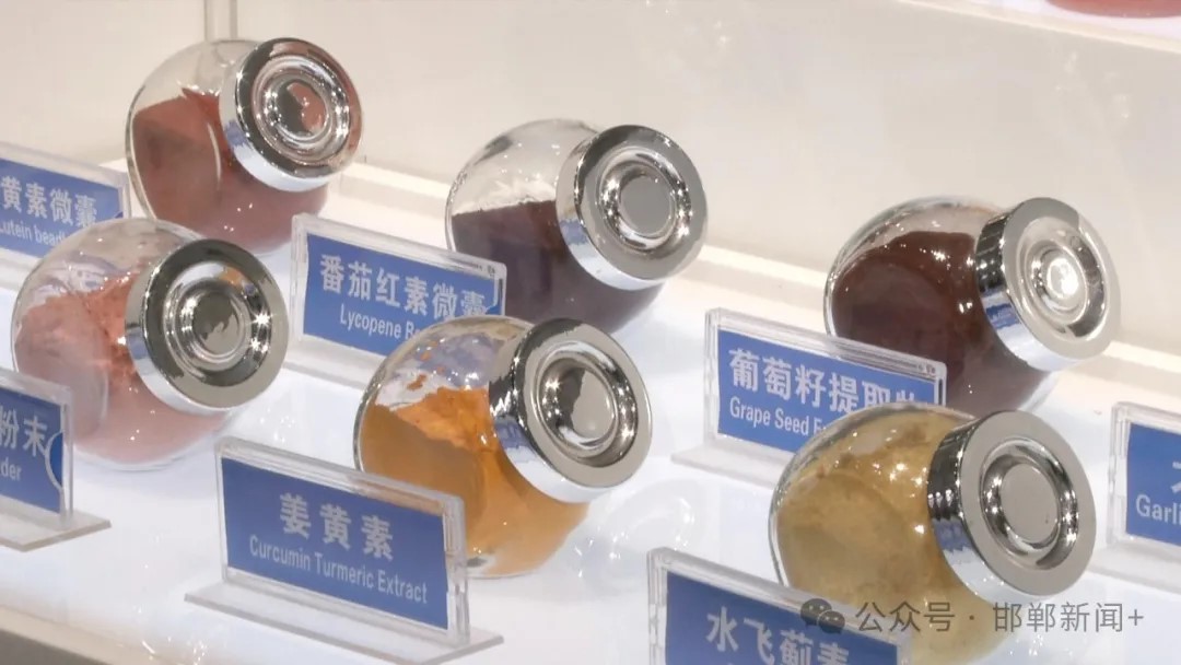 y80000永利棋牌(中国)有限公司官网