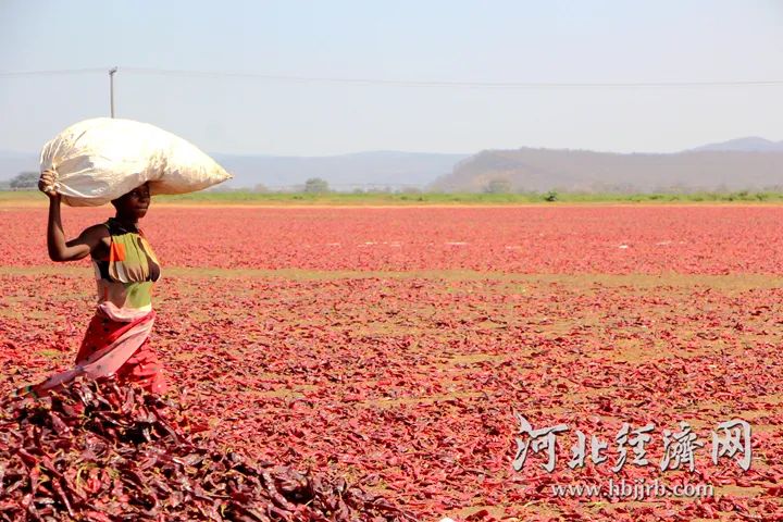 y80000永利棋牌(中国)有限公司官网