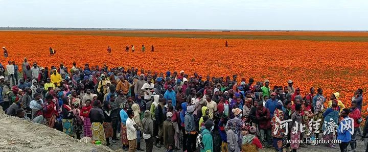 y80000永利棋牌(中国)有限公司官网