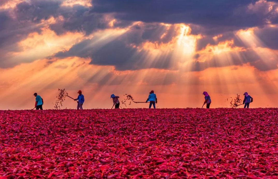 y80000永利棋牌(中国)有限公司官网