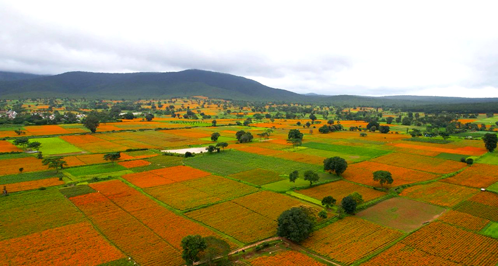 y80000永利棋牌(中国)有限公司官网