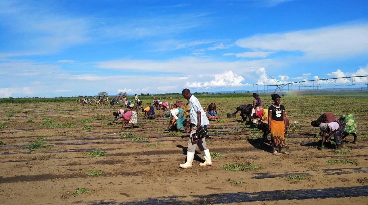 y80000永利棋牌(中国)有限公司官网